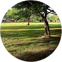 zlaika azmi profile picture